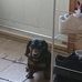 Bill Halverson - Facebook