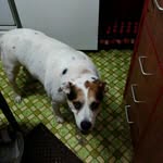 William Halverson - @halversonwilliam - Instagram