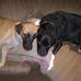 William Halverson - Facebook