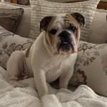 William J Hamburg - @williamjhamburg - Instagram