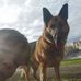 William Hamel - Facebook