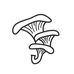 William Hamel - Formateur - Facebook
