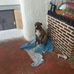 William Hamelin - Facebook