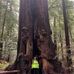 William Hammann - Facebook