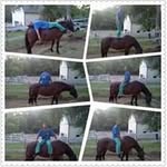 William Hancock - @hancock0131 - Instagram