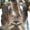 williamharling - @wh.2006 - TikTok