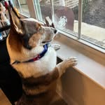 William Harrell - @williamharrell75 - Instagram