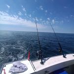 William Hartung - @william.hartung.311 - Instagram