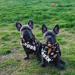 William Hatcher - @yoda_raven16 - Instagram