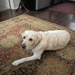 William Hatley - @hatley1229 - Instagram