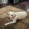williamhatley945 - @williamhatley945 - TikTok