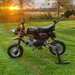 William Hatt - @hatt_william - Instagram
