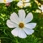 William’s - @william___hattt - Instagram