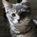 William Haubert - Facebook