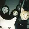 PepsiMaxHaug - @max.william.haug - TikTok