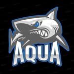 Team Aqua - @william_haughto - Instagram