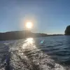 william_haug - @william_haug - TikTok