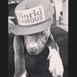 William Haugh - @williamhaugh24 - Instagram