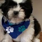 Hauss William - @hausswilliam - Instagram