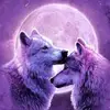 blueyedloverwolfcat - @williamhawthorn - TikTok