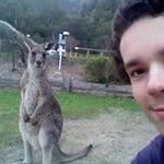 William Hawthorn - @william.is.a.hawthorn - Instagram