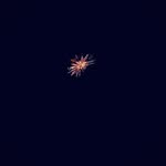 William Hayes - @william_hayes21 - Instagram