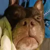 William Hayes - @william.hayes54 - TikTok