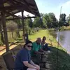 williamadington - @williamadington - TikTok