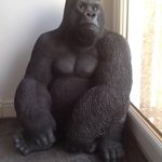 William Healey - @wulliehealey - Instagram