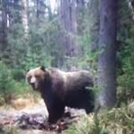 William Healey - @dr_w_healey - Instagram