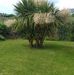 William Heaphy - Facebook
