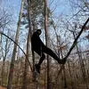 William Hebden - @william.hebden - TikTok