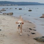 William - @william.hedberg - Instagram