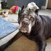 William Heide - @william.heide8 - TikTok