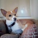 William S. Heilman Jr. - @heilmanjr.w - Instagram