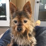 William Heimerdinger - @heimerdingerwilliam - Instagram