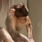 William Heishman - @will_heish - Instagram