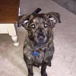 William Heiskell - @williamheiskell - Instagram