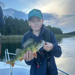 William Henriksen - @willevesslahenriksen - Instagram