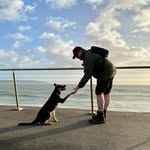 william hersey - @hersey_william - Instagram