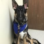 William E. Hershberger Jr. - @william.hershberger - Instagram