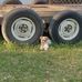 William Hershberger - Facebook