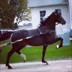 William Hershberger - @william.hershberger.982 - Instagram