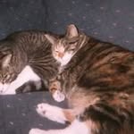 William Hess - @william.hess.7927 - Instagram