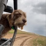 William Hetzel - @william.hetzel.1 - Instagram