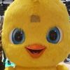 william hew - @williamhew3 - TikTok