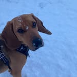 William H - @william__hewson10 - Instagram