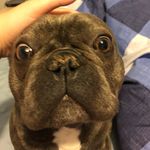 William Hewson - @williamhewson - Instagram