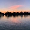 williamhewson343 - @williamhewson343 - TikTok