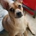 William Heyman - Facebook